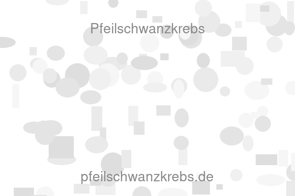 Pfeilschwanzkrebs