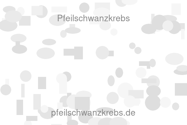 Pfeilschwanzkrebs