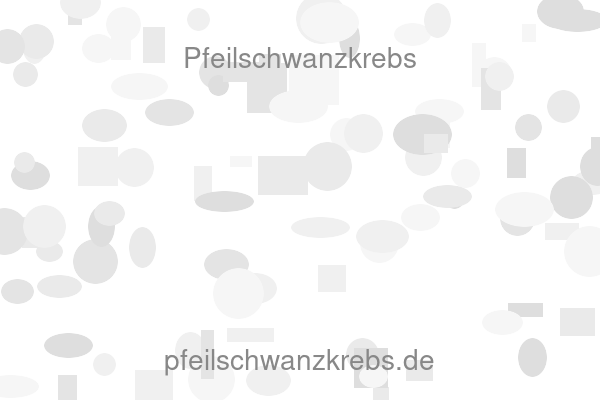 Pfeilschwanzkrebs