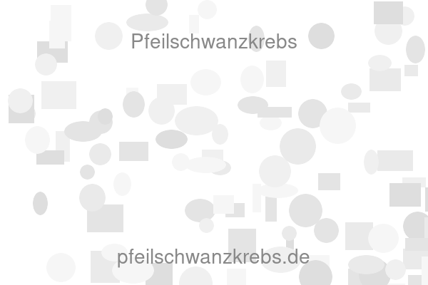 Pfeilschwanzkrebs